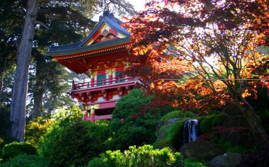 Japon çay Bahçesi, san francisco