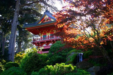 Japon çay Bahçesi, san francisco