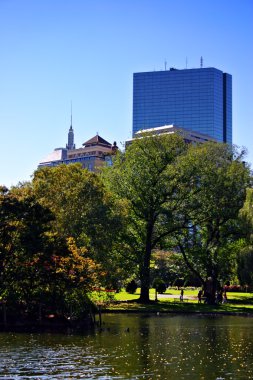 boston halk bahçesi