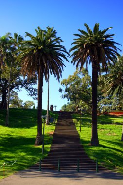 Kraliyet Botanik Bahçesi, Sydney
