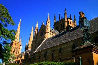St mary's Katedrali, sydney