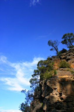 Blue Mountain, NSW, Australia clipart