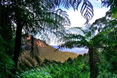 Blue Mountain, Nsw, Avustralya
