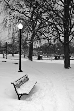 Boston, Massachusetts, ABD 'de kar yağışının stok görüntüsü