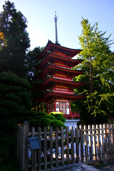 Japanse thee tuin, san francisco — Stockfoto