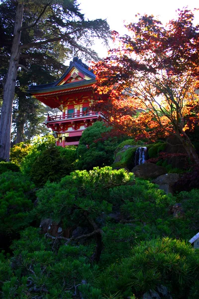 Jardim de chá japonês, São Francisco — Fotografia de Stock