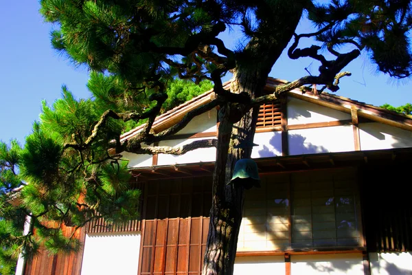 Japanska te trädgård, san francisco — Stockfoto