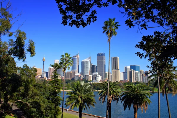Sydney skyline, AUstralia — Stock Photo, Image