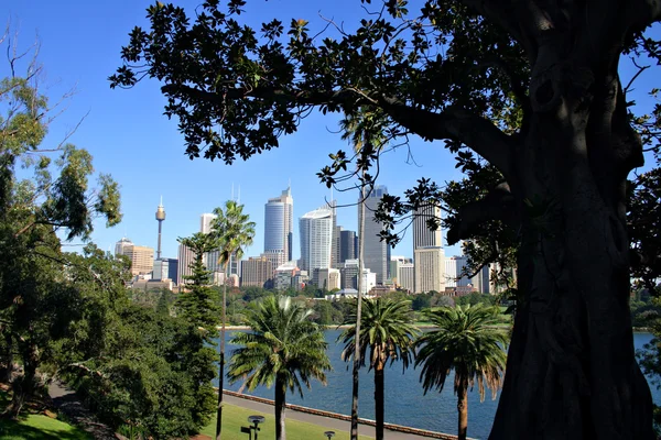 Sydney skyline, Austrália — Fotografia de Stock