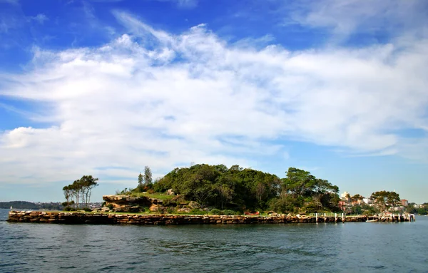 Ilha do tubarão, Sydney — Fotografia de Stock