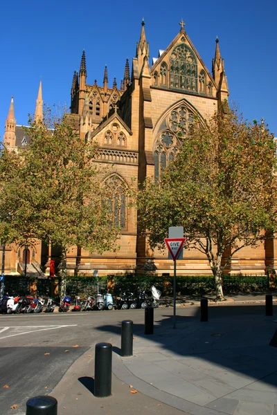 St Mary's Cathedral, Sydney — Zdjęcie stockowe