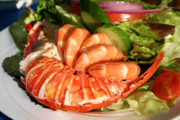 Comida fresca y deliciosa de mariscos en Watson Bay, NSW, Australia —  Fotos de Stock