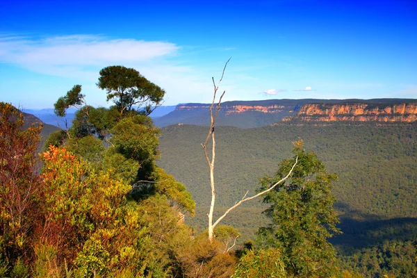 Blue Mountain, NSW, Austrália — Fotografia de Stock