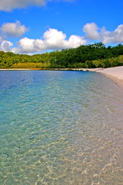 Fraser island, Stany Zjednoczone Ameryki — Zdjęcie stockowe