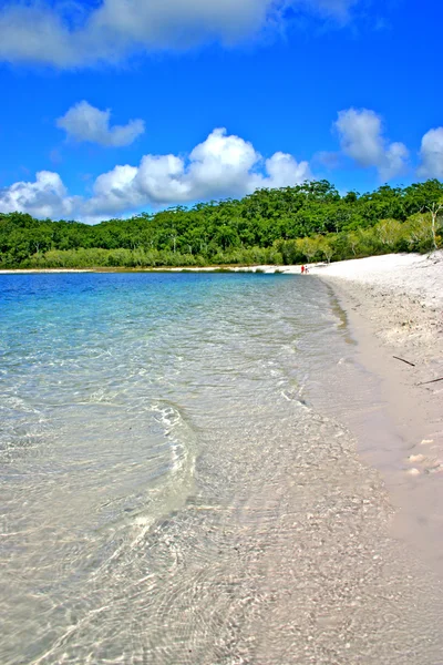 Fraser Island, Austrália — Fotografia de Stock