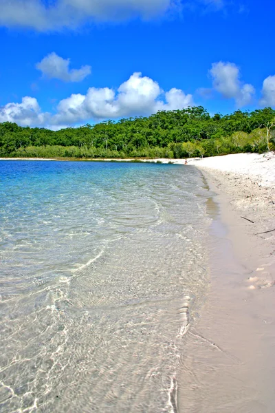 Isola di Fraser, australia — Foto Stock