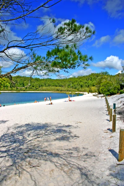 Fraser island, Austrálie — Stock fotografie