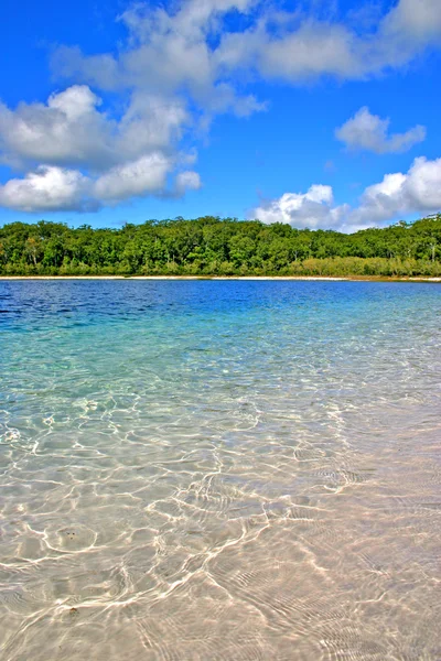 Fraser Island, Australia — Stock Photo, Image