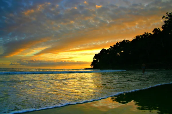 Sunshine Coast, Australia — Foto de Stock