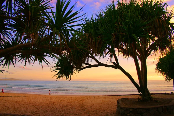 Sunshine Coast, Αυστραλία — Φωτογραφία Αρχείου