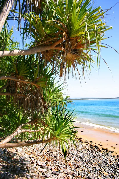 Sunshine Coast, Australie — Photo