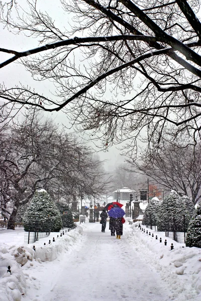 Stock bild av en snöande vinter vid Boston, massachusetts, usa — Stockfoto