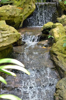 Malezya bir tropikal orman şelale