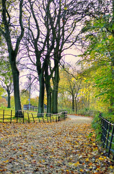 Pień obrazu z Glasgow, Szkocja — Zdjęcie stockowe