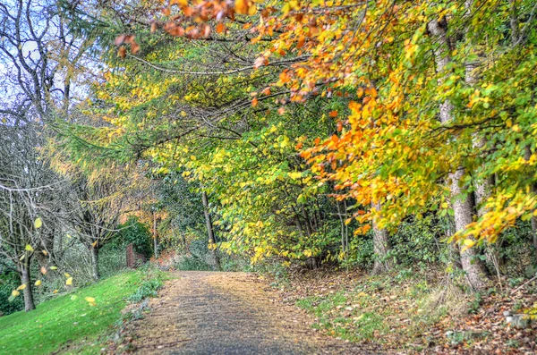 Lager bild av Glasgow, Skottland — Stockfoto