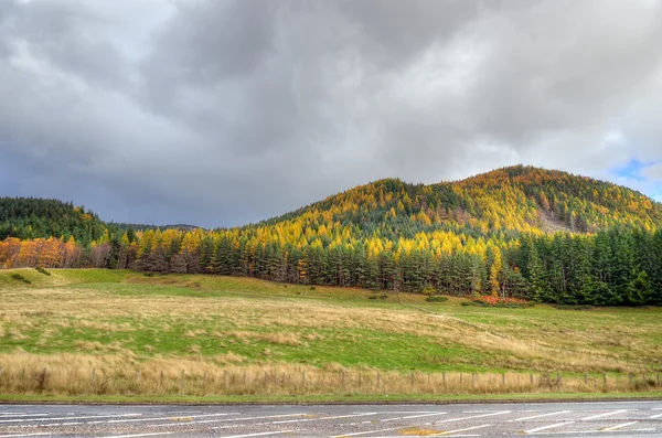 Colorida vista panorámica de las tierras altas escocesas en verano —  Fotos de Stock