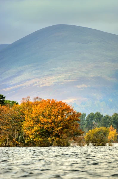 Imagen de Loch Lomond, Escocia —  Fotos de Stock