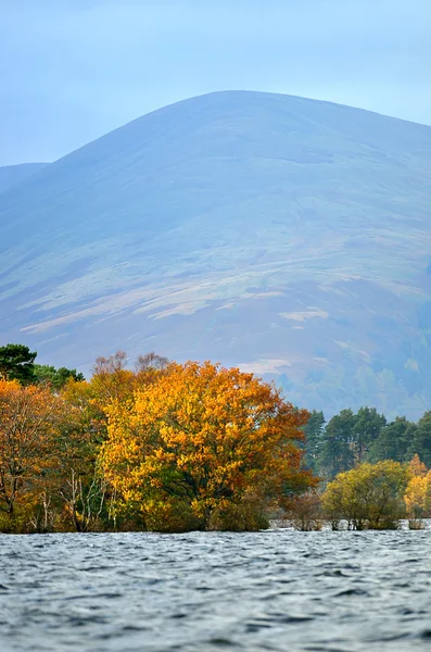 Loch Lomond, İskoçya'nın stok görüntü — Stok fotoğraf