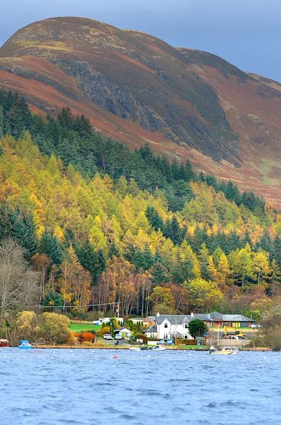 Pień obraz Loch Lomond, Szkocja — Zdjęcie stockowe