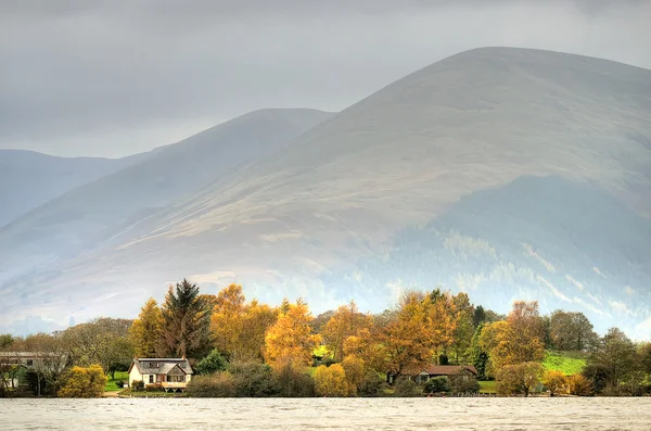 Pień obraz Loch Lomond, Szkocja — Zdjęcie stockowe