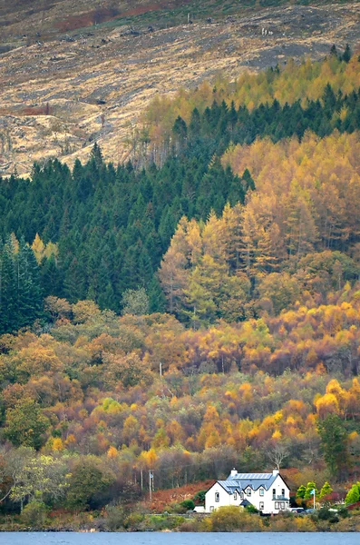 Stock image of Loch Lomond, Scotland — Stock Photo, Image