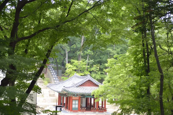 Changdeokgung Palace in Seoel, Zuid-Korea — Stockfoto