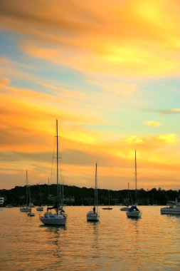Watsonlar Bay, Nsw, Avustralya