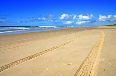 Fraser Island, Avustralya