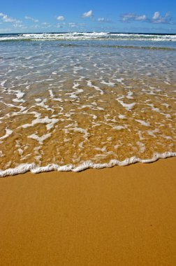 Fraser Island, Avustralya
