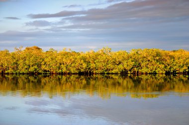 Sunshine Coast, Avustralya