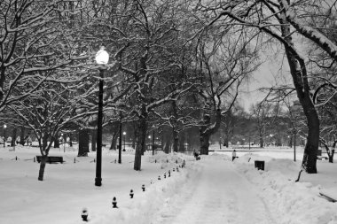 Boston, Massachusetts, ABD 'de kar yağışının stok görüntüsü