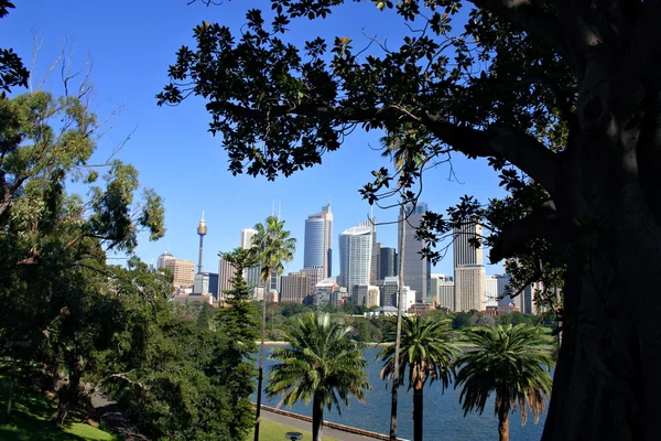 Archivfoto von Sydneys Skyline am Steg, Sydney — Stockfoto