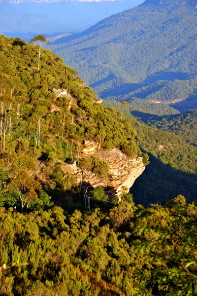 Blue Mountain, Nsw, Australia — Foto de Stock