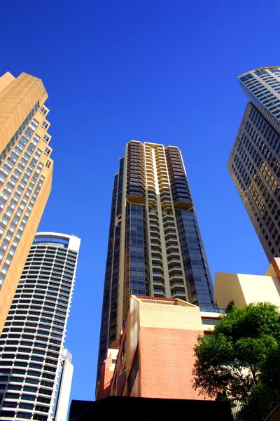 Stock bild över Sydneys stadssilhuett på Cicular Quay, Sydney — Stockfoto