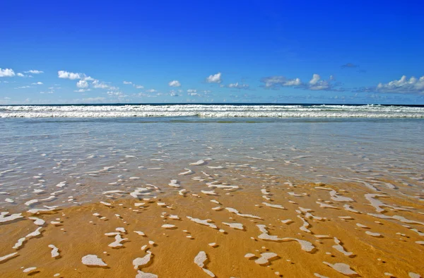 Fraser Island, Avustralya