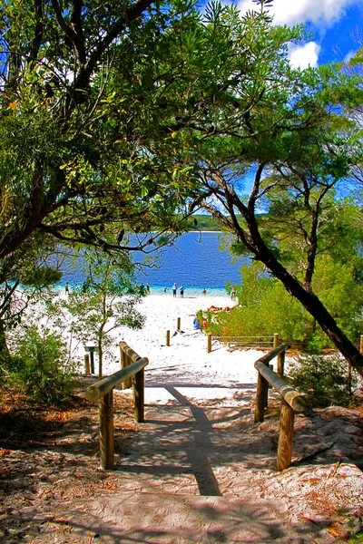 Fraser Island, Australia — Stock Photo, Image