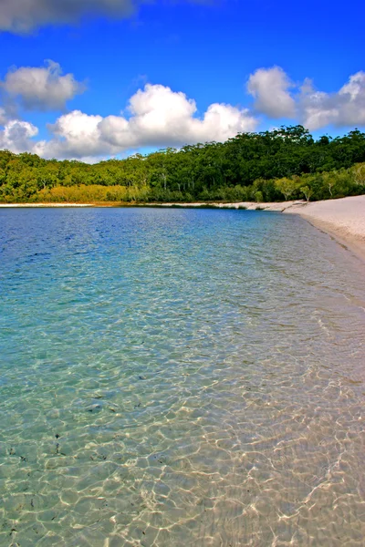 Fraser Island, Avustralya — Stok fotoğraf