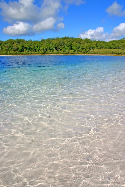 Fraser Island, Austrália — Fotografia de Stock