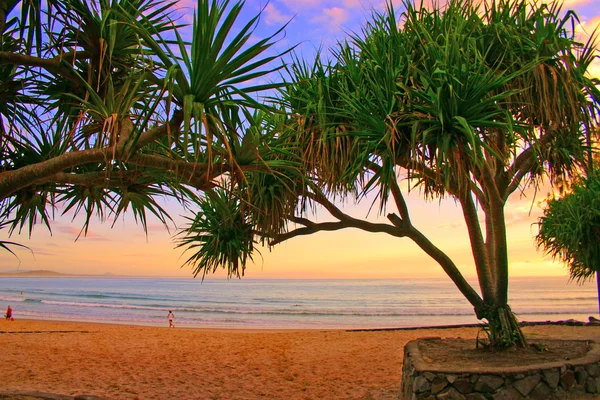 Sunshine Coast, Ausztrália — Stock Fotó