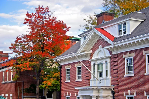 Harvard Square, Cambridge — Foto Stock